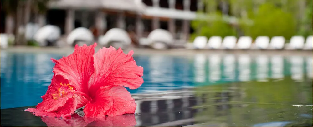 Gayana Marine Resort Kota Kinabalu Hotel